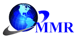 Maximize Market Research